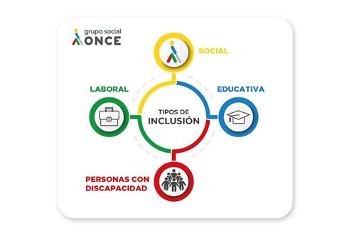 Esquema de las etapas de inclusión de personas con discapacidad en la educación superior