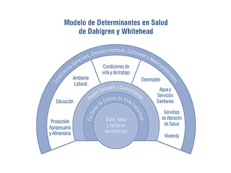Diagrama que ilustra los determinantes sociales de la salud y su relación con la migración.