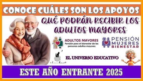 Esquema de los programas de apoyo al adulto mayor en Cerro Navia
