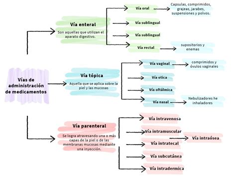 Mapa conceptual mostrando las diferentes vías para encontrar ofertas de empleo y voluntariado