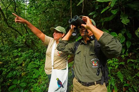 Gráfico que muestra la evolución de las responsabilidades de los guardaparques y los desafíos actuales