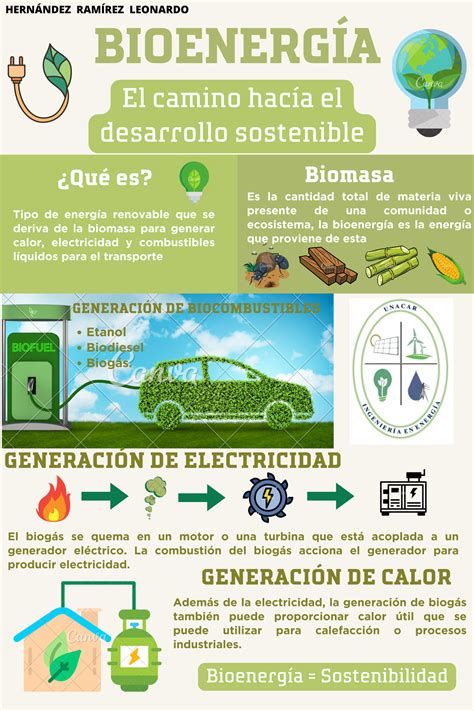 Infografía que muestra las diversas aplicaciones de la bioenergía: generación eléctrica, transporte, industria y calefacción residencial.