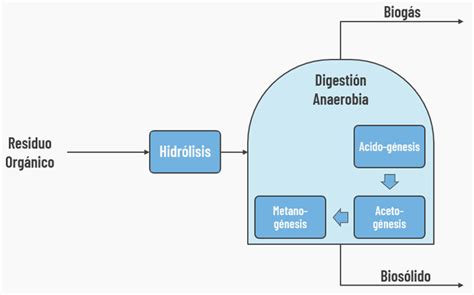 Esquema técnico del proceso de digestión anaerobia y la obtención de biogás y fertilizantes.