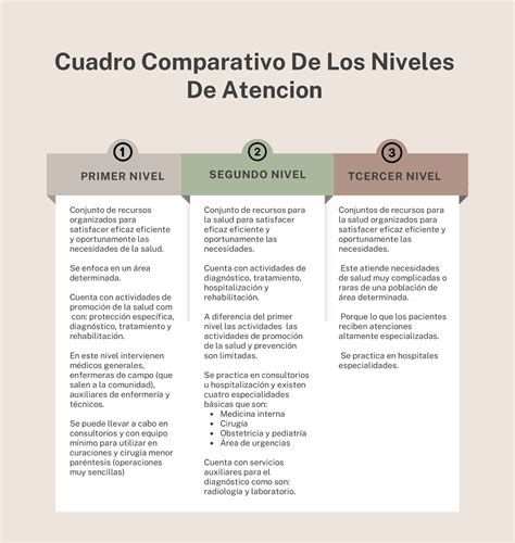 Esquema comparativo de los niveles de seguridad y verificación de identidad en la plataforma digital de la AFP