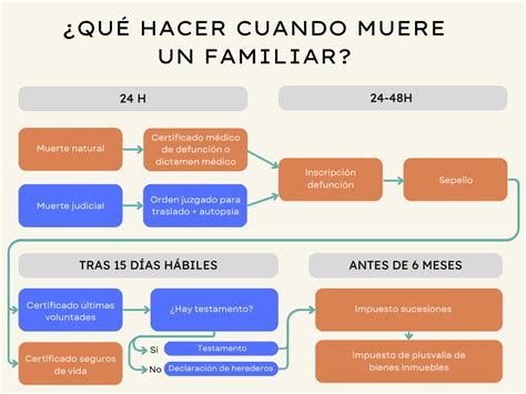 Esquema de flujo de los trámites legales tras el fallecimiento