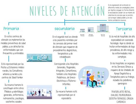Esquema de los niveles de atención geriátrica en un instituto especializado
