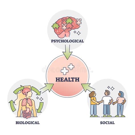 Esquema sobre la interrelación de factores biológicos, psicológicos, sociales y ambientales en la salud mental del adulto mayor.