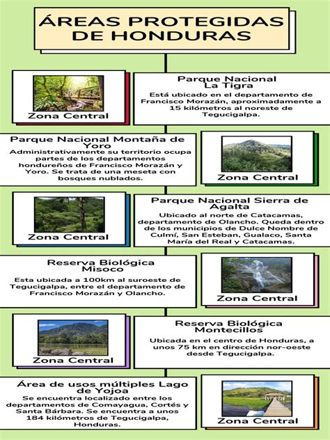 Infografía sobre las áreas de colaboración entre el CFT Santo Tomás y el Hogar de Ancianos
