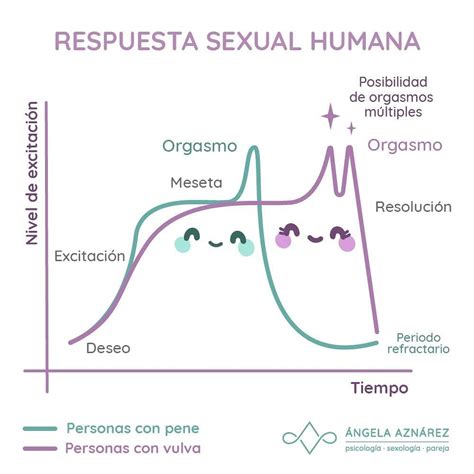 Esquema sobre la evolución de la respuesta sexual humana con el paso de los años y factores que influyen en el deseo.