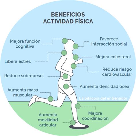 Infografía que muestra los beneficios multidimensionales del ejercicio en la tercera edad: físico, mental y social.