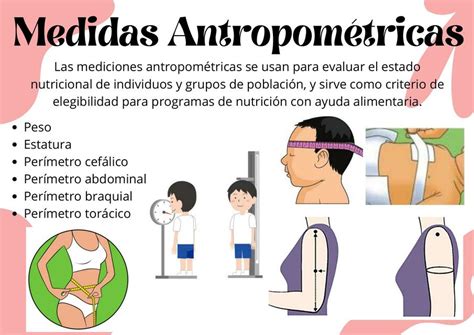 Ilustración esquemática de las principales medidas antropométricas a tomar en adultos mayores (peso, altura de rodilla, longitud hombro-codo, circunferencias, pliegues cutáneos).