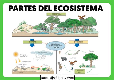 Esquema de un ecosistema de hogar inteligente que integra sensores no invasivos, robots sociales y conectividad con familiares o cuidadores.