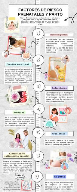 Infografía sobre los factores de riesgo prenatales: genética, entorno y salud materna.