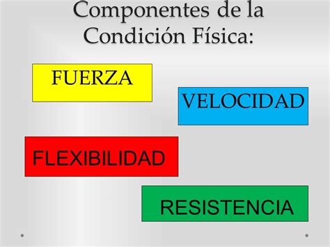 Esquema de los componentes básicos de la condición física en el adulto mayor: fuerza, resistencia, equilibrio y flexibilidad
