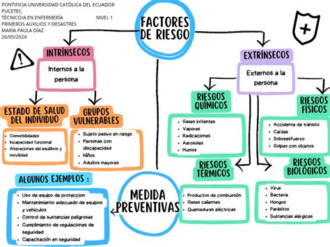 Esquema: clasificación de factores de riesgo intrínsecos, extrínsecos y situacionales en el adulto mayor.