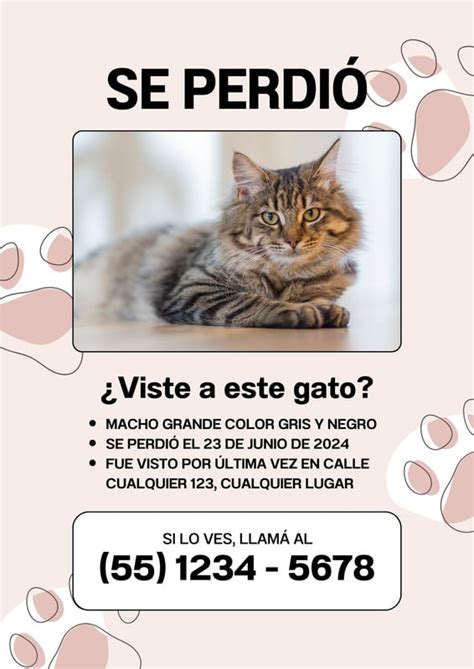 Ejemplo de volante de mascota perdida con una foto clara y detalles de contacto