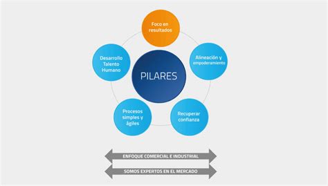 Esquema conceptual que ilustra los pilares fundamentales de la atención geriátrica y los derechos de los pacientes senior.