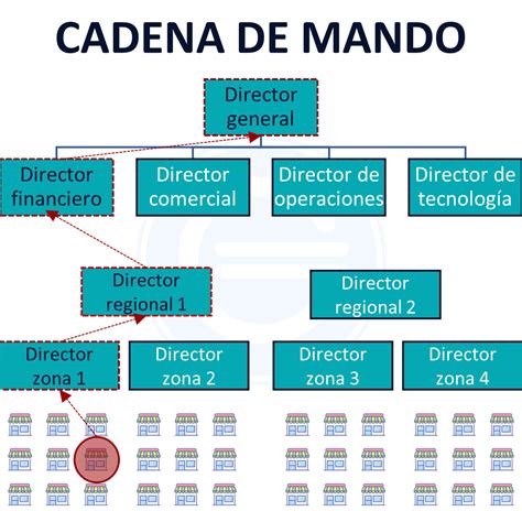 Infografía: Cadena de mando y coordinación entre hogares de ancianos y Senama