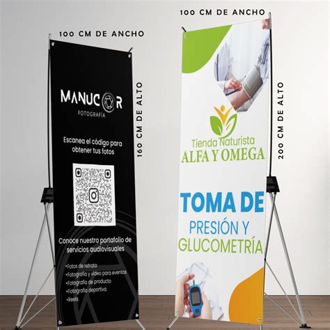 Ejemplo de pendón con el logo de Senadis correctamente posicionado y en tamaño adecuado