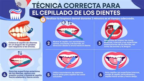 Infografía mostrando la técnica correcta de cepillado dental y uso de hilo dental para adultos mayores