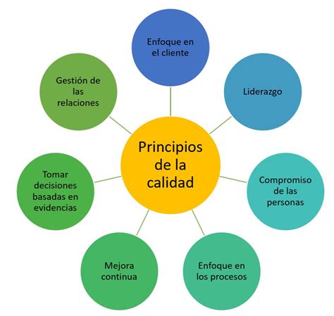 Esquema de los principios del enfoque social y de derechos para personas con discapacidad