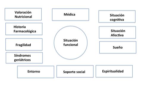 Esquema de los componentes de la evaluación geriátrica integral