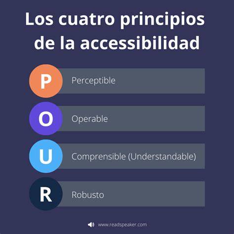 Esquema de los principios de accesibilidad según la Ley 20.422