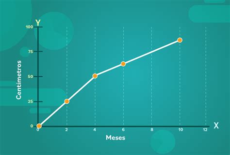 Diagrama de líneas mostrando la evolución de las cotizaciones y beneficios de la reforma a través del tiempo