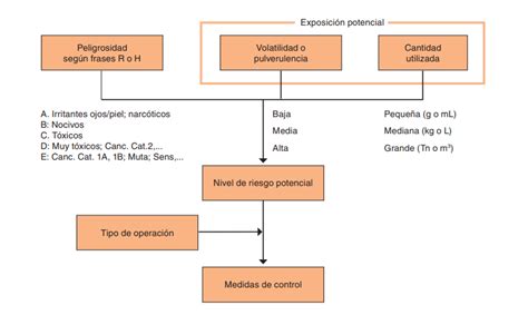 Esquema de las variables del modelo logístico para la exclusión en adultos mayores