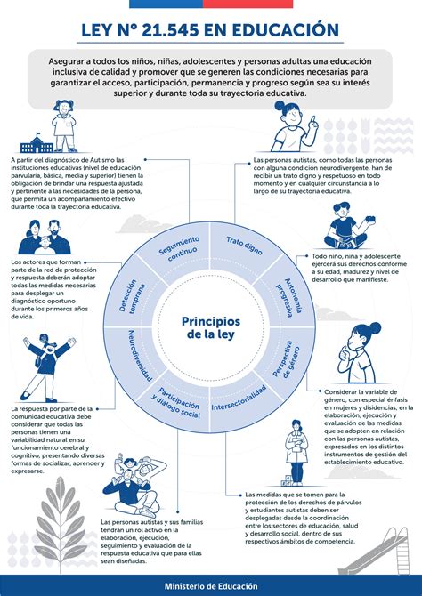Esquema visual de la Ley N° 21.218, sus objetivos y su impacto