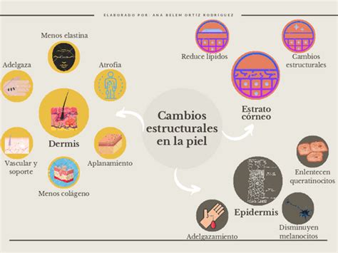 infografía sobre los cambios en la piel de los pies con la edad