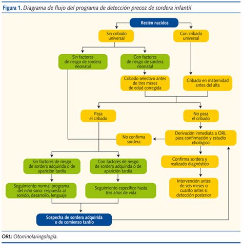 Esquema explicativo del protocolo 1-3-6 para la detección temprana de hipoacusia neonatal.
