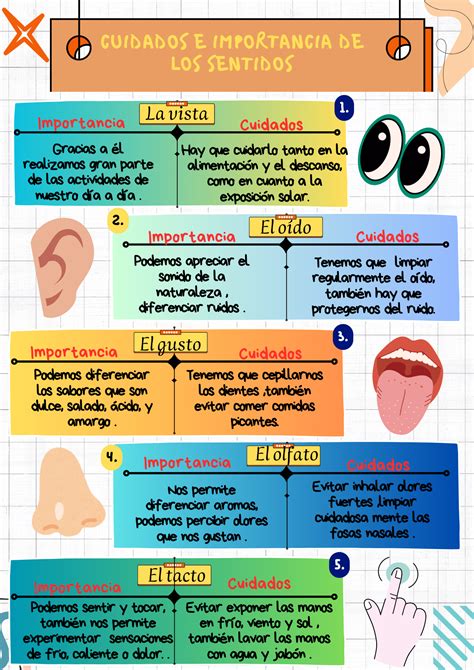 Infografía que resume los cinco sentidos y su importancia en la vida de las personas mayores.
