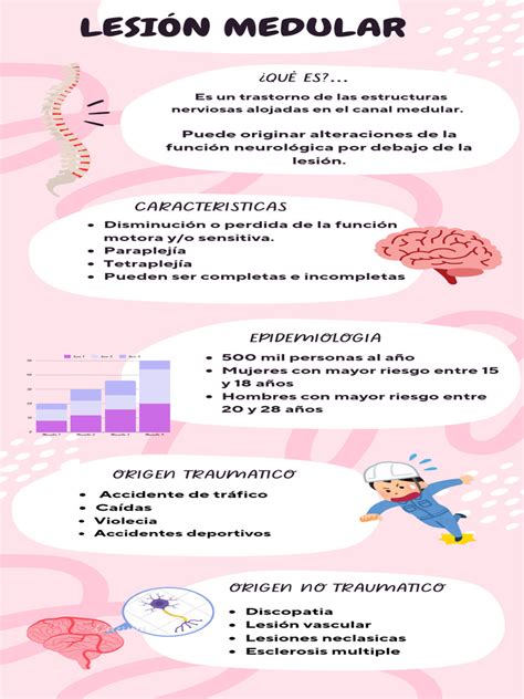 Infografía comparativa: niveles neurológicos de la lesión medular y funciones afectadas.