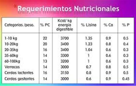 Tabla comparativa de requerimientos nutricionales recomendados (proteínas, fibra, calcio)