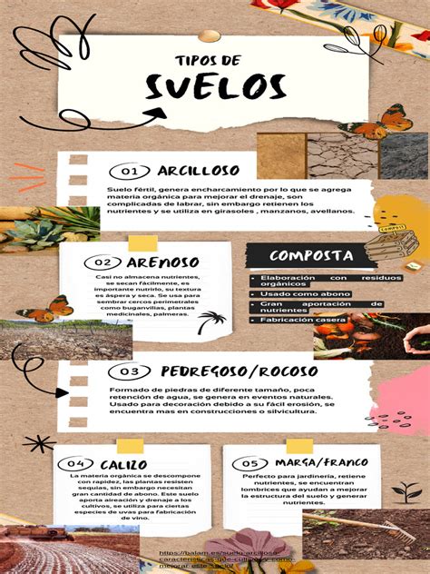 Infografía sobre los diferentes tipos de formación para ser cuidador de animales