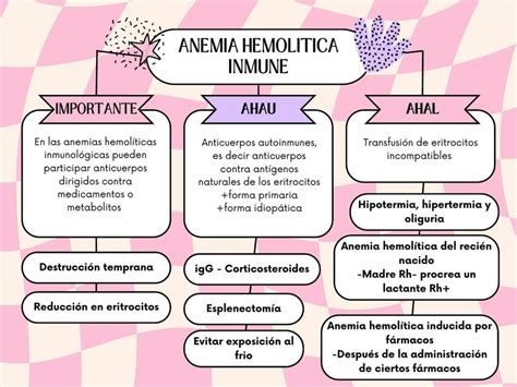 Esquema de las causas de la anemia hemolítica autoinmunitaria, clasificando primarias y secundarias