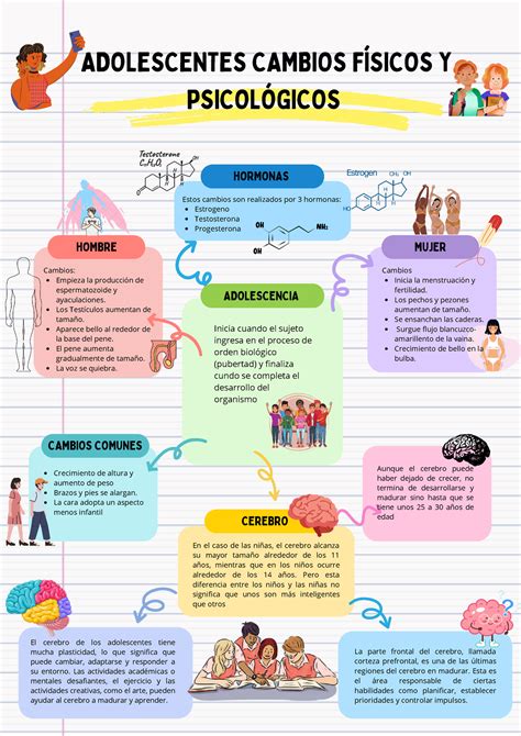 Infografía sobre los cambios físicos, cognitivos y sociales en la tercera edad para sensibilizar al cuidador