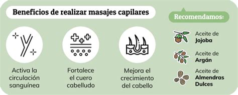 Infografía comparativa de aceites capilares: beneficios, ingredientes principales y modo de uso.