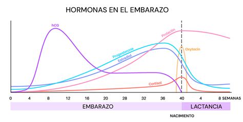 Gráfico que muestra los cambios hormonales durante la menopausia.
