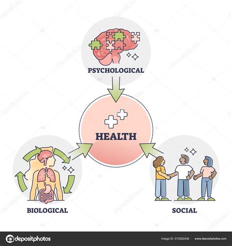 Esquema que ilustra la interacción entre factores biológicos, psicológicos y sociales en el proceso de envejecimiento activo.