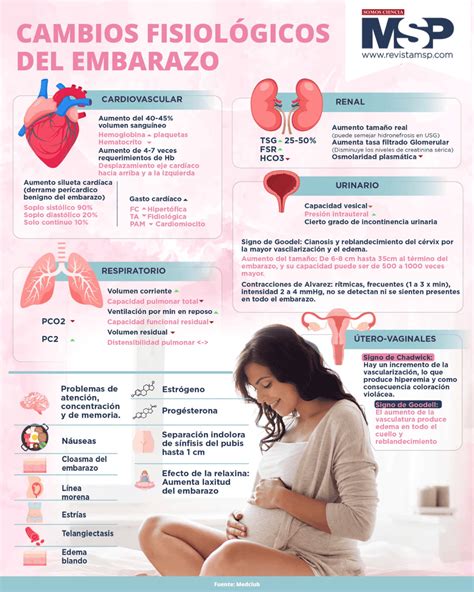 infografía sobre cambios fisiológicos clave en el cuerpo humano después de los 40 años