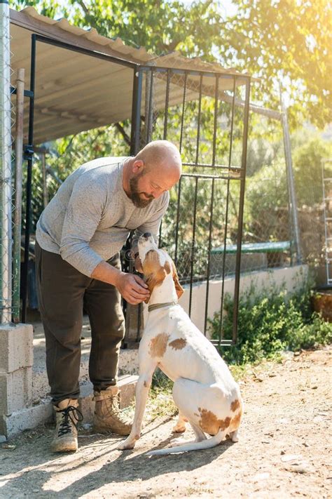 Persona mayor acariciando un perro labrador tranquilo en casa