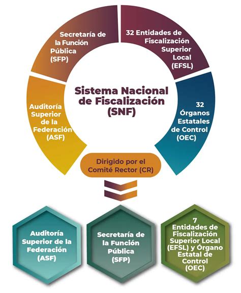 Infografía sobre el proceso de fiscalización de la Superintendencia de Pensiones y sus atribuciones