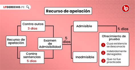 Esquema de pasos para la apelación en SUSESO