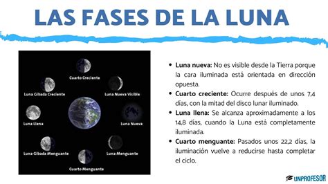 Esquema de las diferentes fases de la evaluación de la disfagia