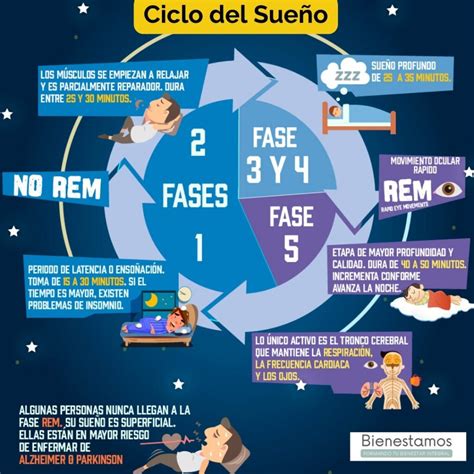 Infografía: Ciclo del sueño y cómo cambia con la edad