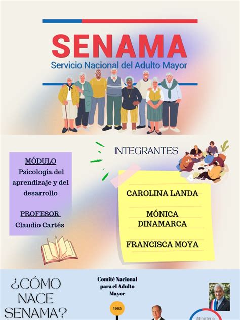Infografía o esquema sobre la estructura y misión de SENAMA en Chile