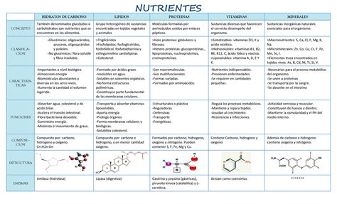Tabla comparativa de nutrientes para perros senior