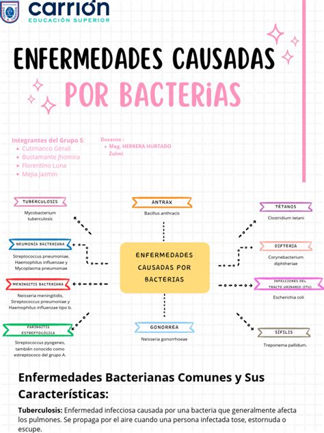 Esquema de las posturas anómalas causadas por la espasticidad
